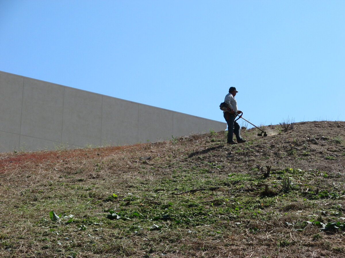 Lone man on top of a hill using a string trimmer on grass