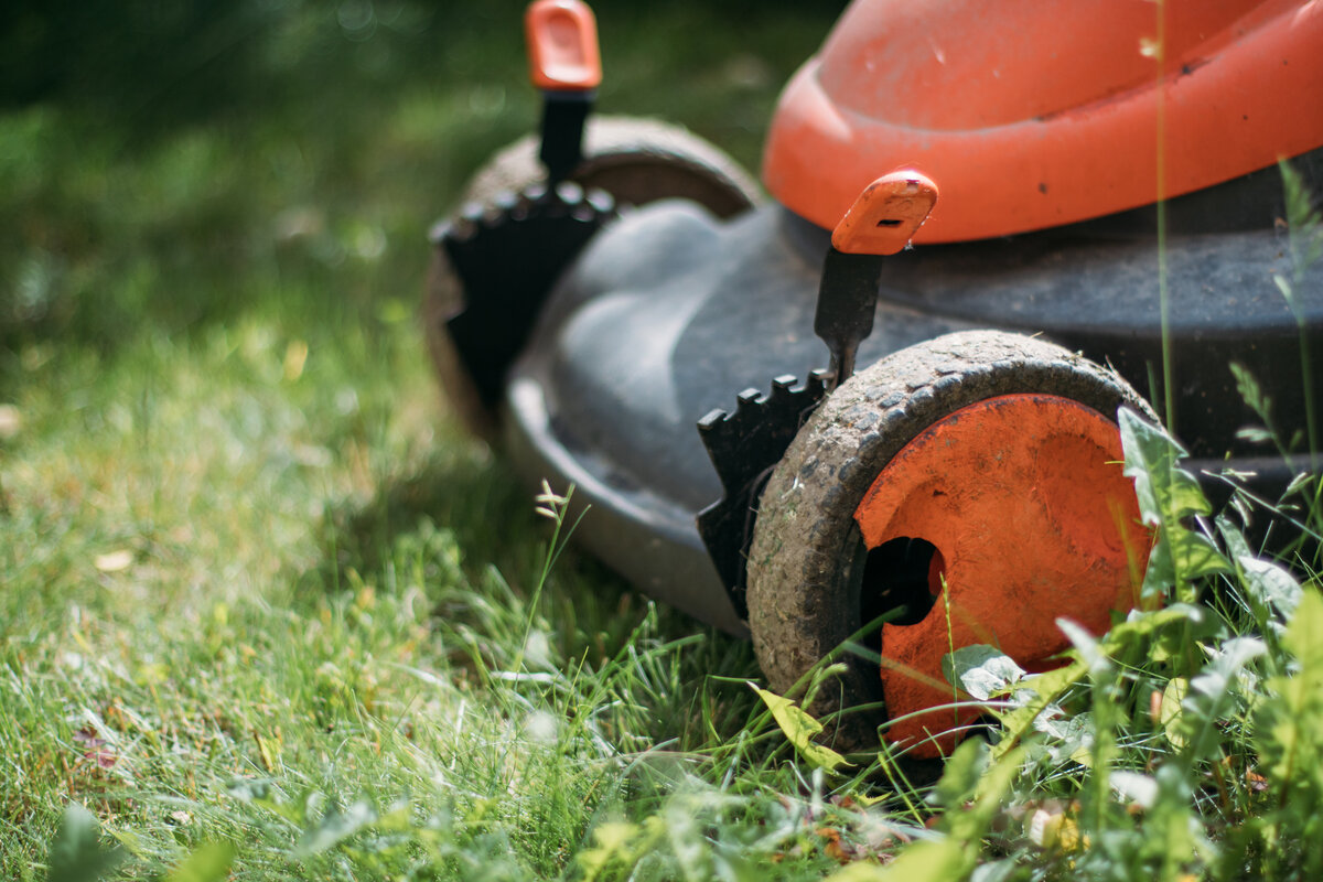 Close-up of the front of an orange lawn mower sitting in the grass