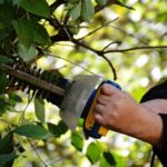 10 Best Hedge Trimmers of 2021 [Reviews]