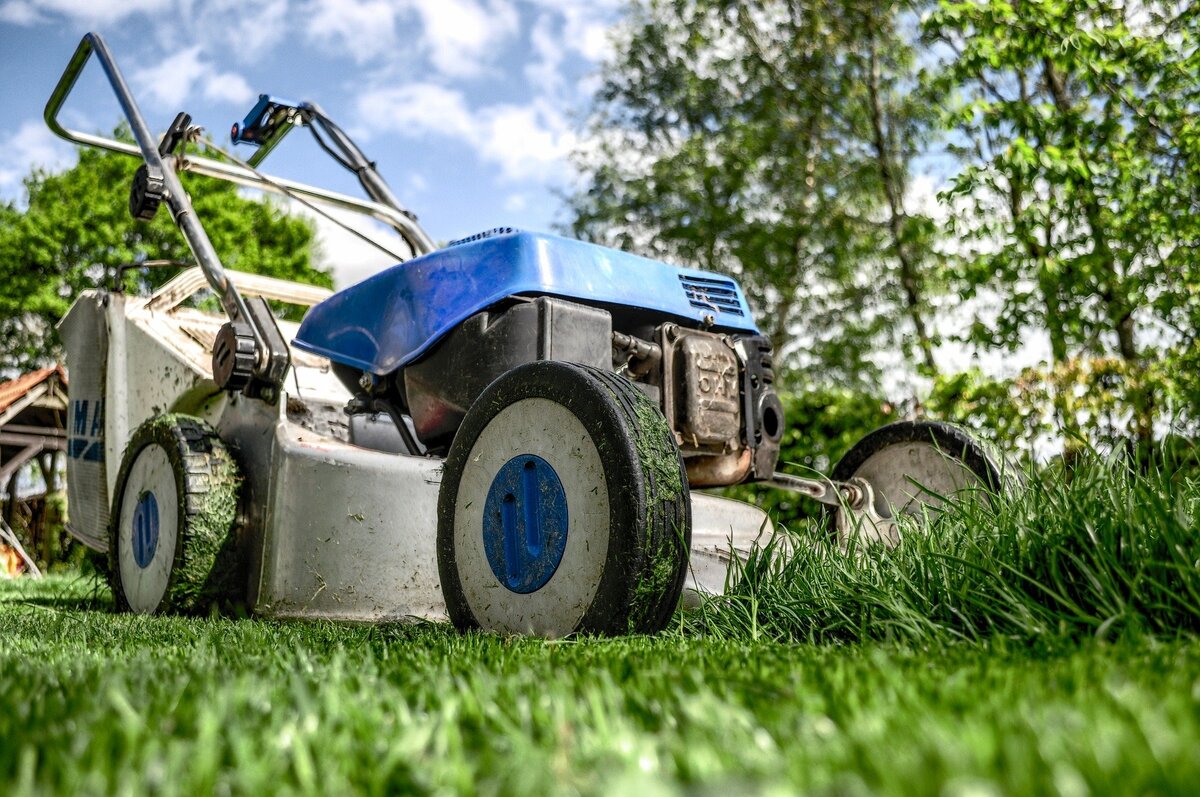 Blue push lawnmower sitting in front of uncut grass