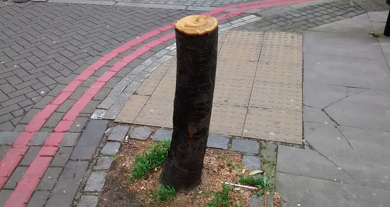 Tree stump in the middle of concrete path