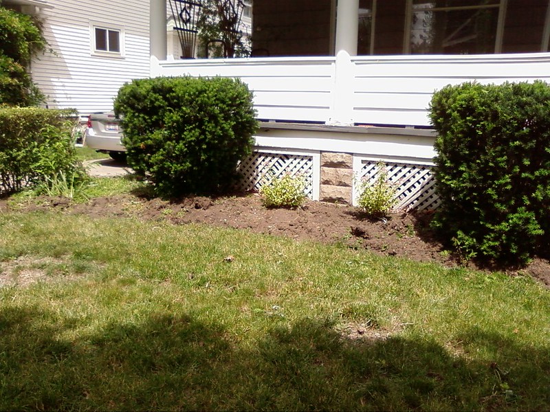 2 bushes in front of a house