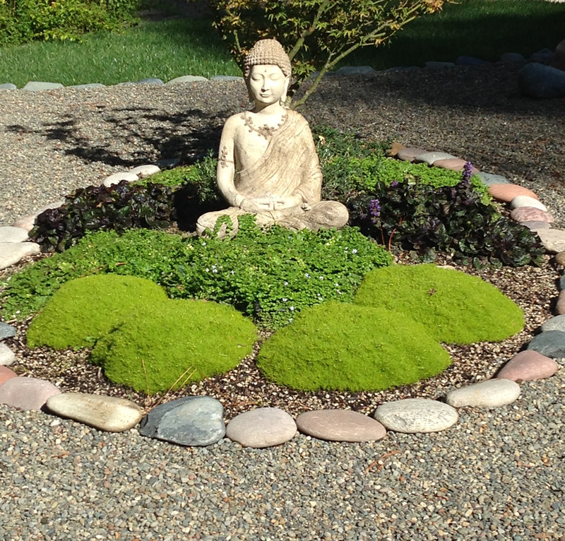 Circular Japanese zen garden with moss mounds in the center and rocks circling the outer perimeter