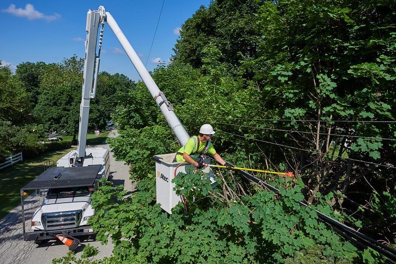 Tree trimmer in a bucket truck, trimming branches over powerlines
