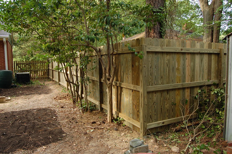 Corner of a wood privacy gate showing trees right up next to the fenceline