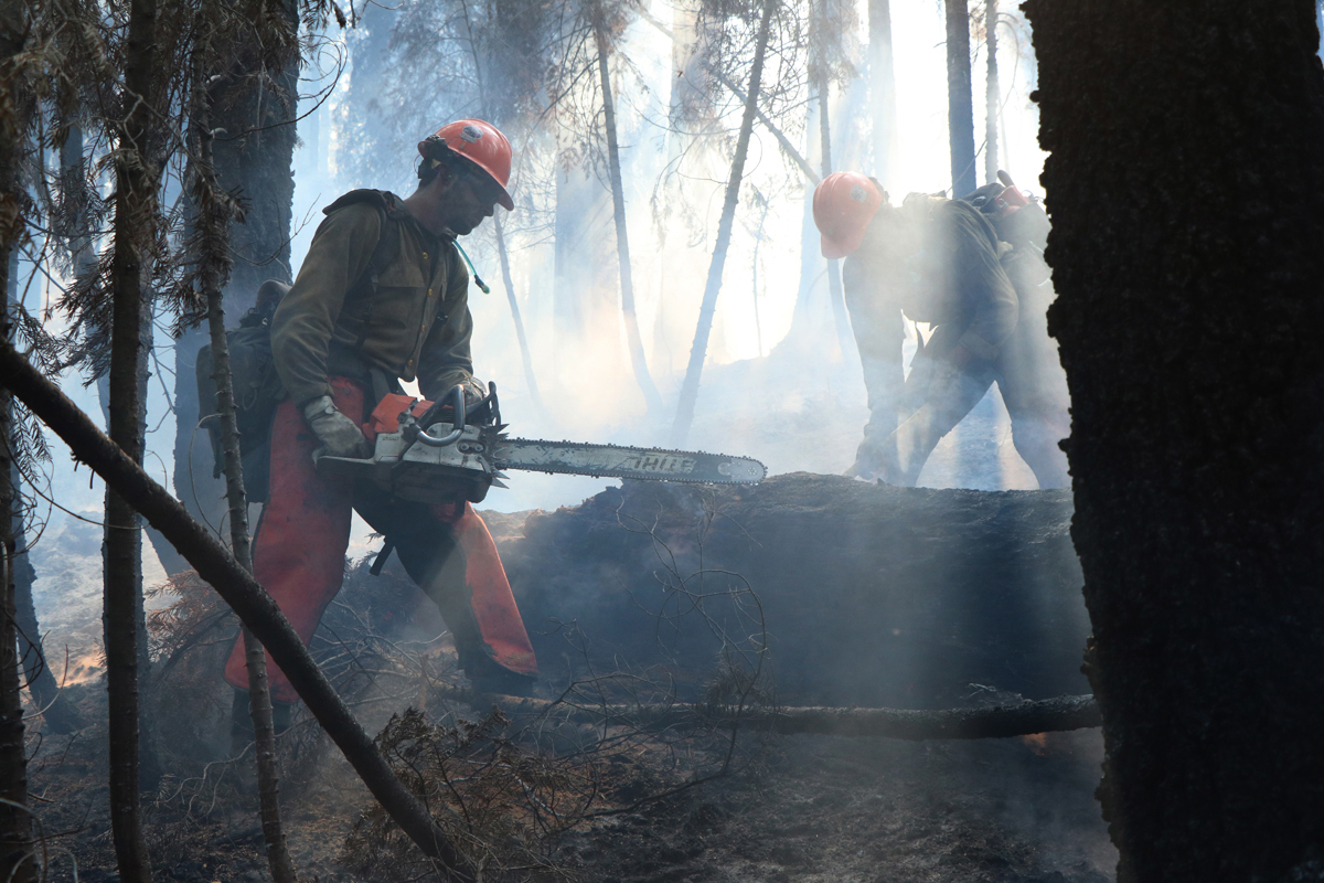 9 Best Gas-Powered Chainsaws of 2022 