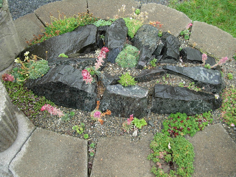 Looking down at an oval-shaped rock garden with some flowers and greenery within it