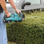 How Much Does a Hedge Trimmer Cost in 2024?
