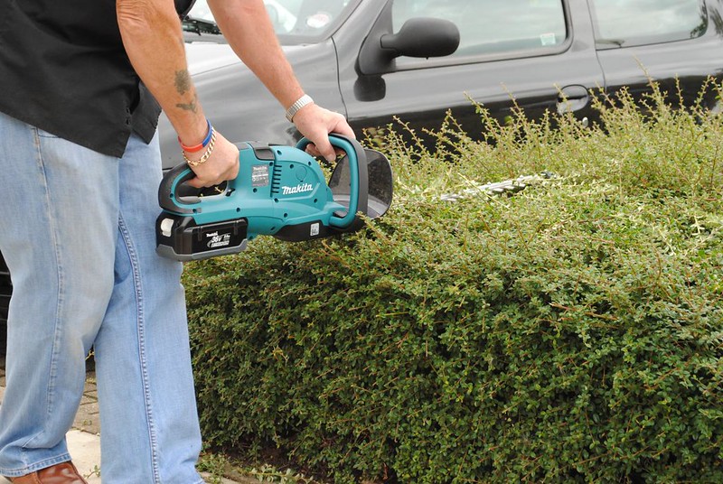 Man trimming hedges using an electric hedge trimmer