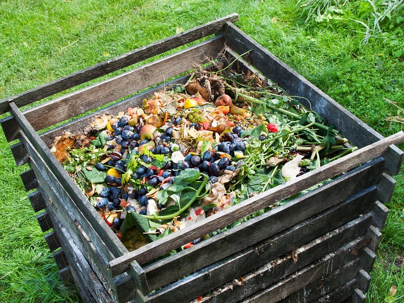Full compost bin in a yard