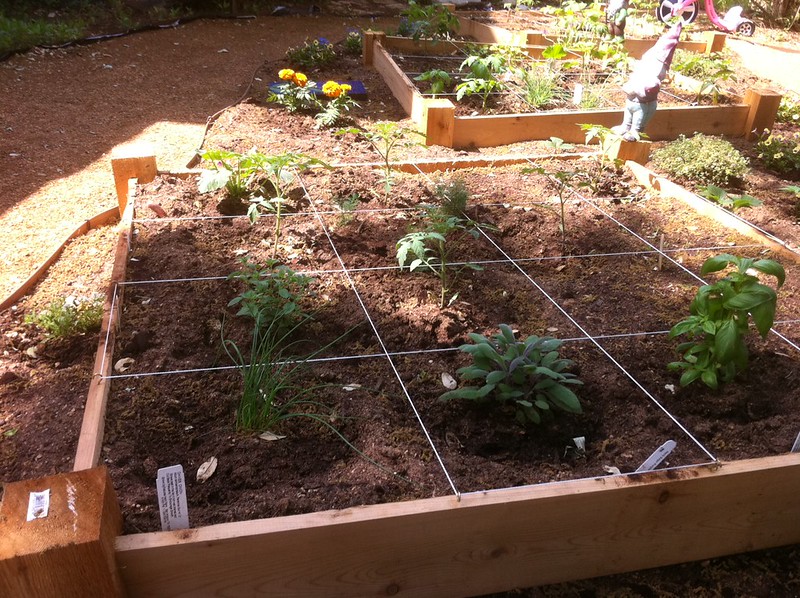 Raised garden bed using square foot gardening with plants in each square foot of the grid