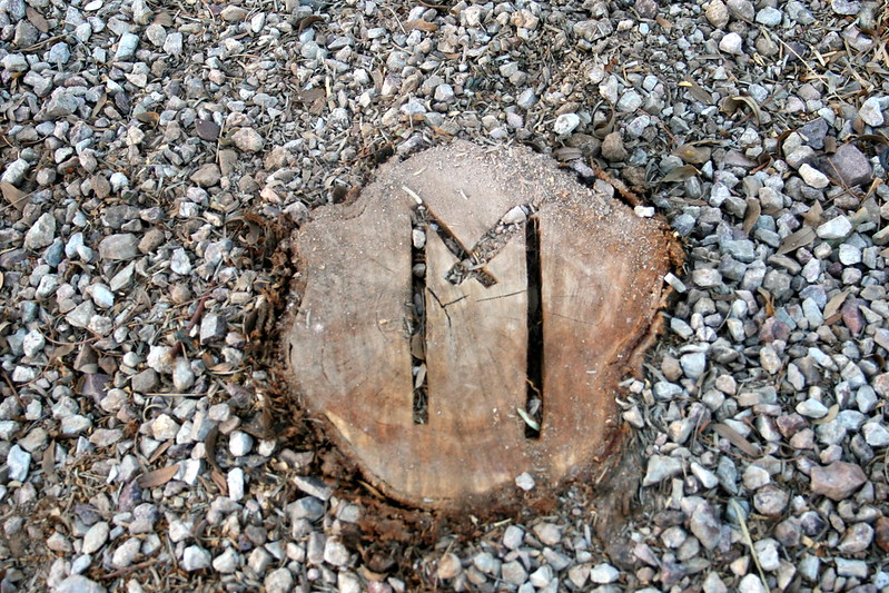 Tree stump marked with an "M" and buried in stones