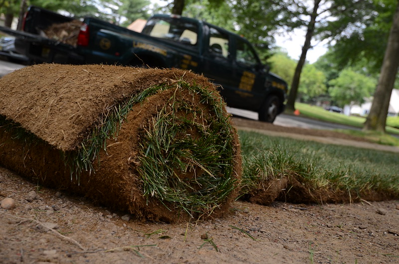 Roll of sod on the ground
