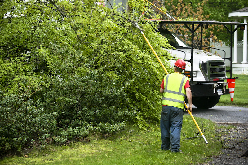 Worker trimming trees with a pole saw