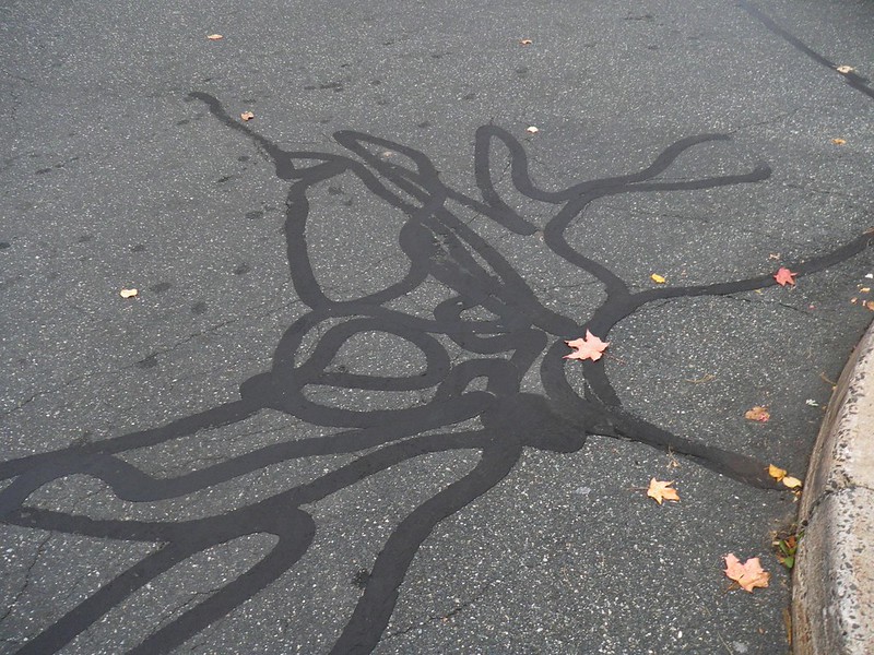 Freshly filled cracks in asphalt