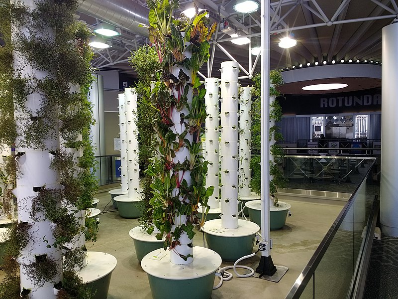 Aeroponic garden at O'Hare International Airport