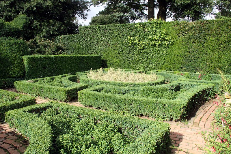 Ornate hedges in a maze pattern