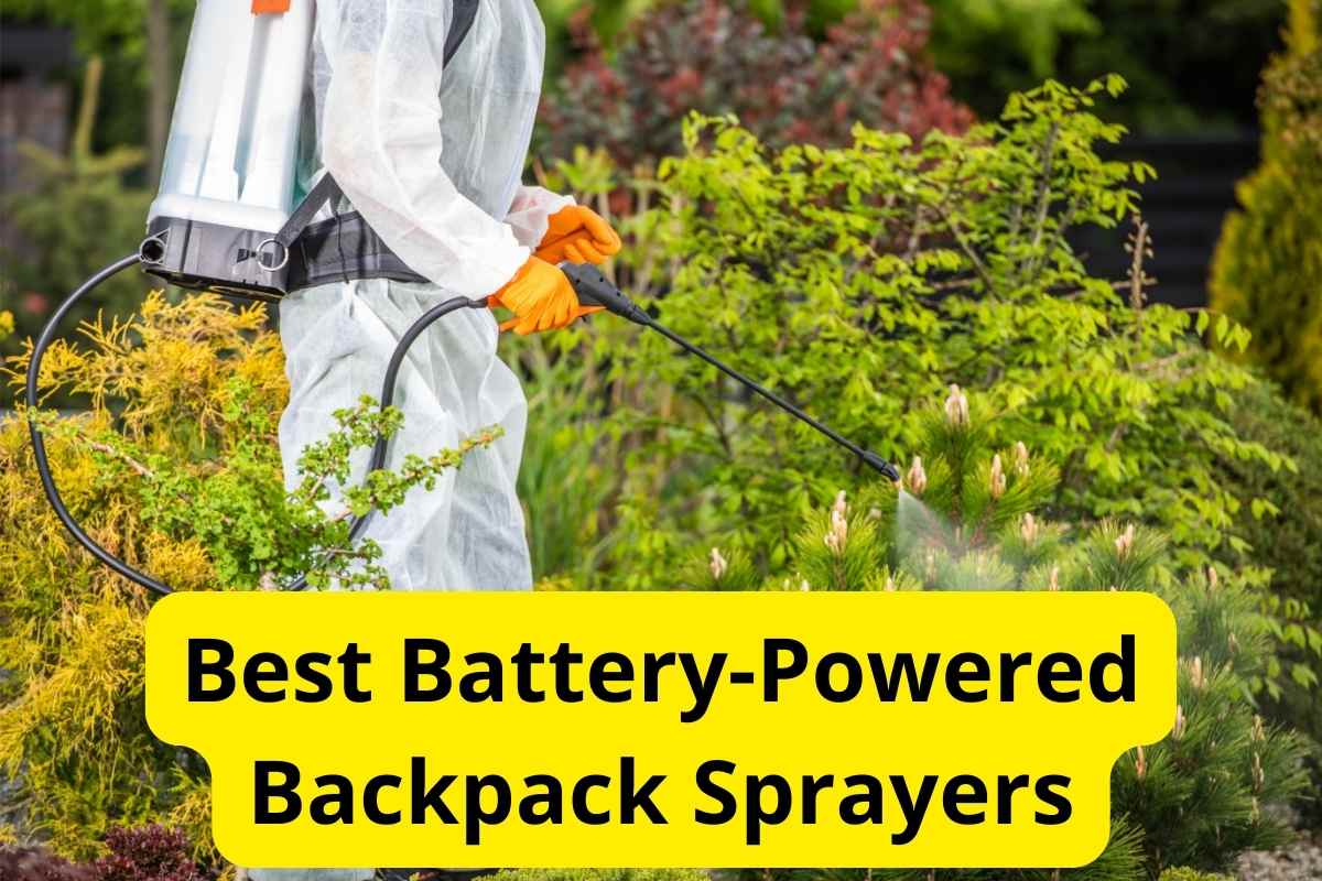 gardener spraying pesticide with text overlay on it