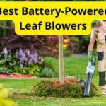 10 Best Battery-Powered Leaf Blowers of 2021 [Reviews]