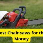 10 Best Chainsaws for the Money in 2021 [Reviews]