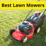 10 Best Lawn Mowers of 2022 [Reviews]