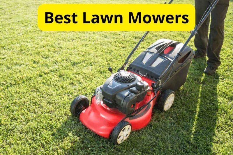8 Best Lawn Mowers of 2025 [Reviews]