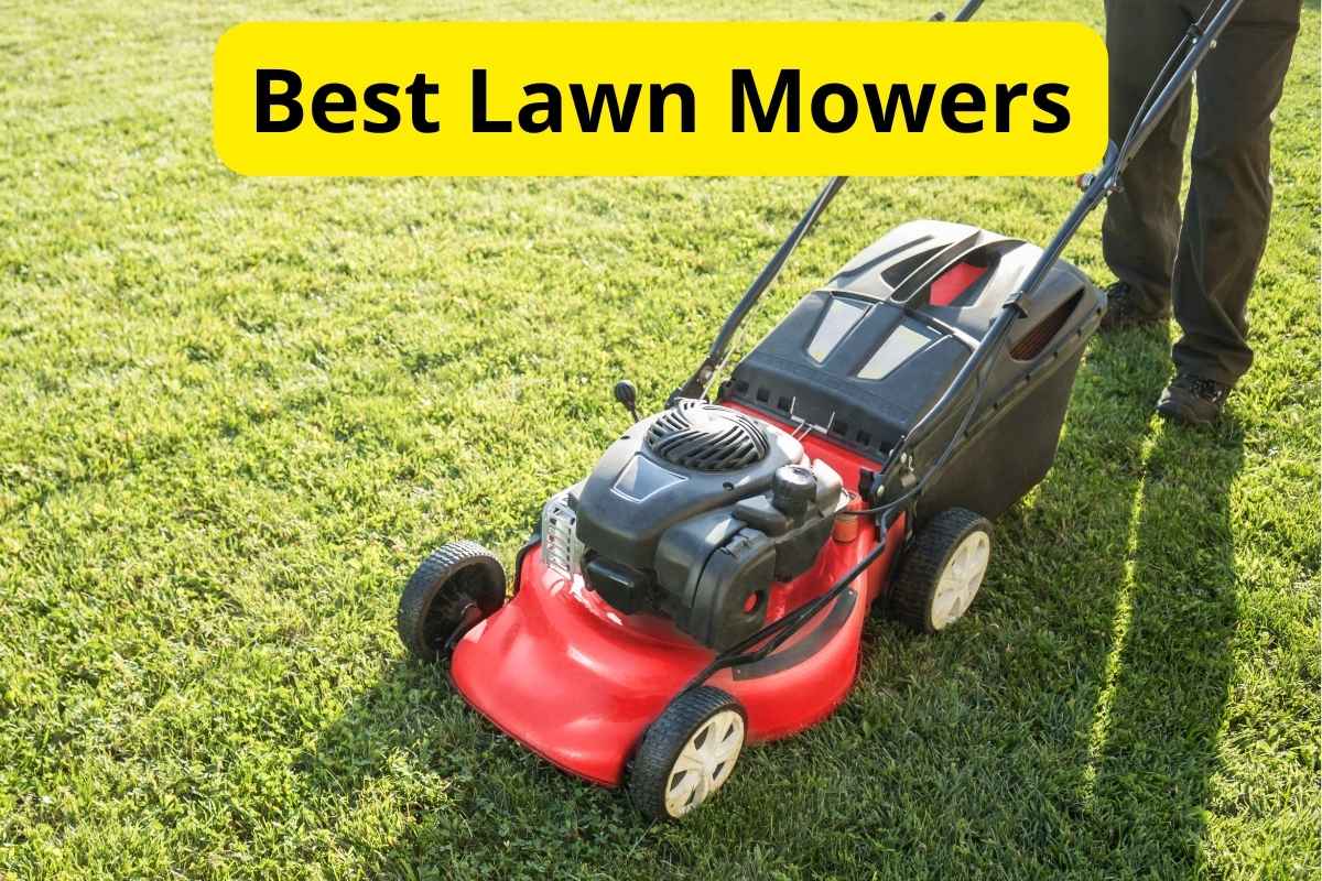 lawn mower cutting grass with text overlay on it