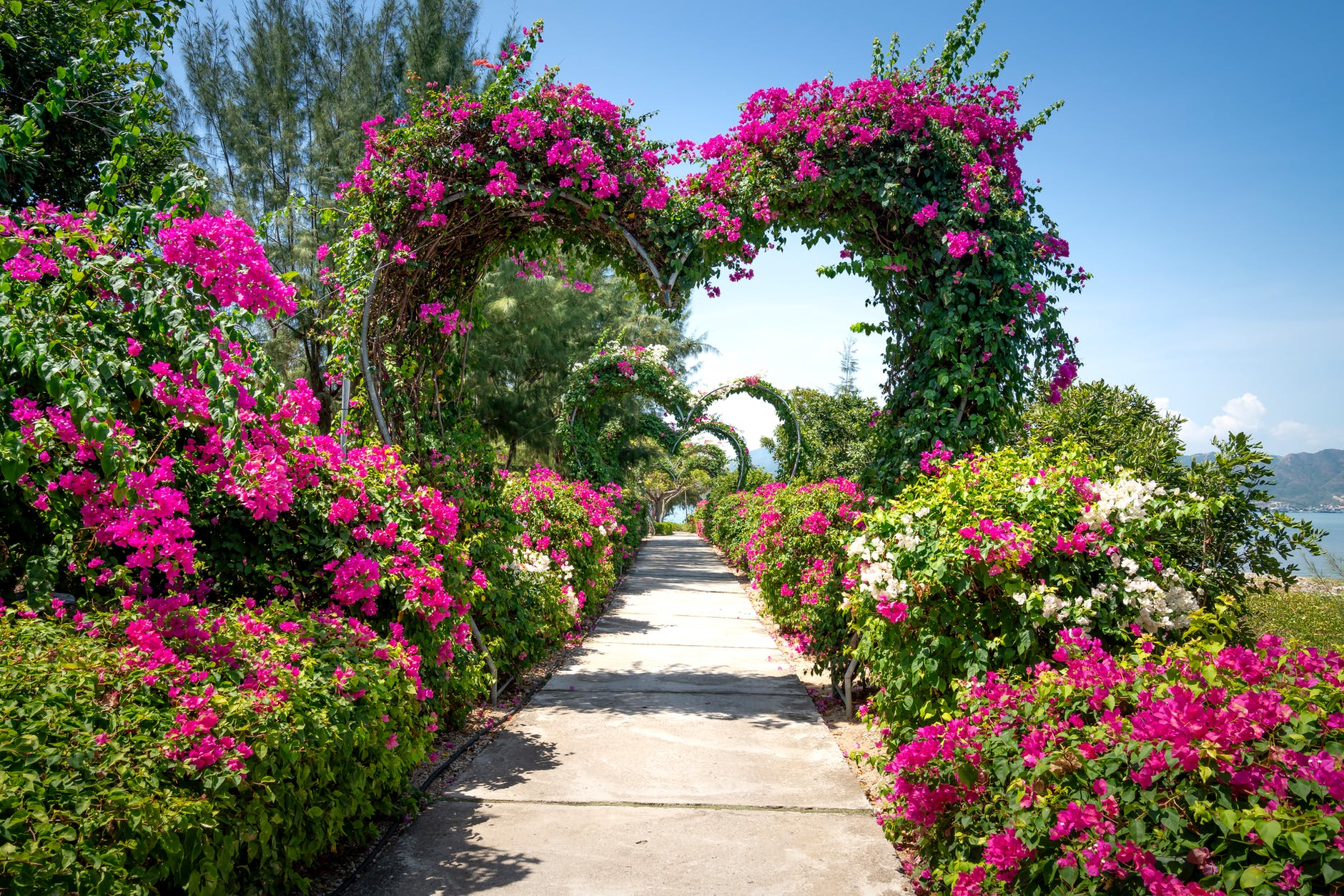 Romantic Garden Entrance