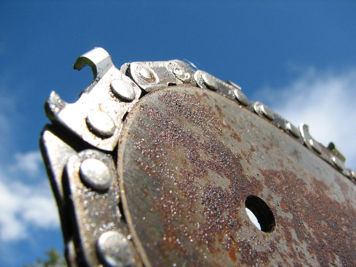 Close up of a chainsaw blade