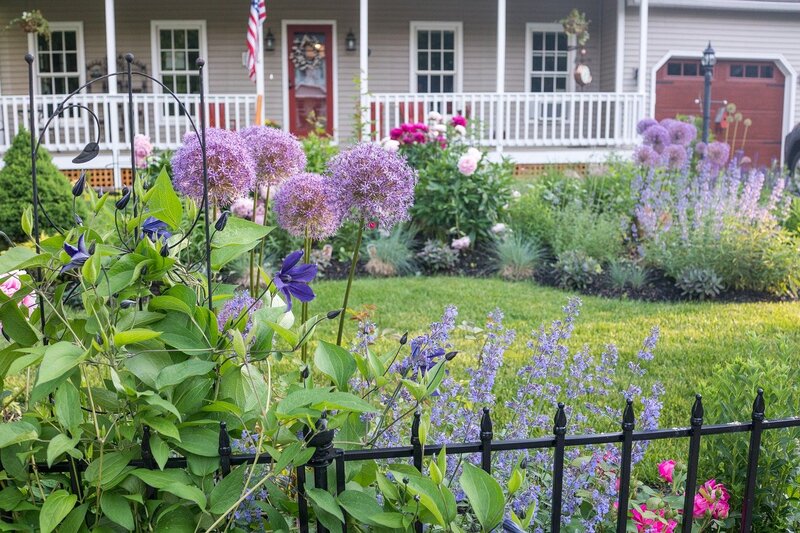 Front yard with purple, red, and white flowers, a wrought iron fence and a front porch.