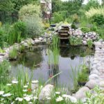 How Much Does Pond Maintenance Cost in 2025?