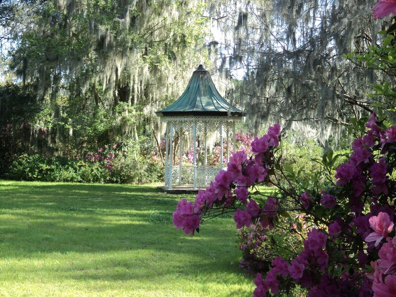 White gazebo in the background with purple flowers in the foreground