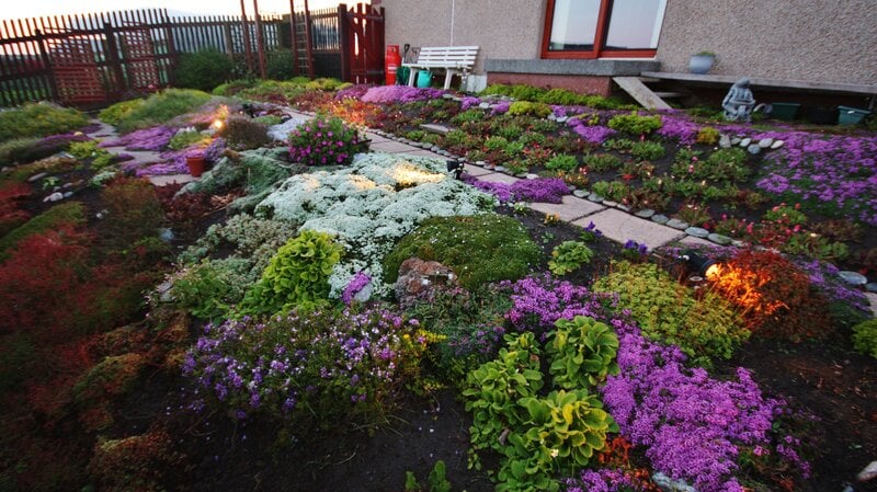 Variety of green, purple, orange and white flowers in a moon garden