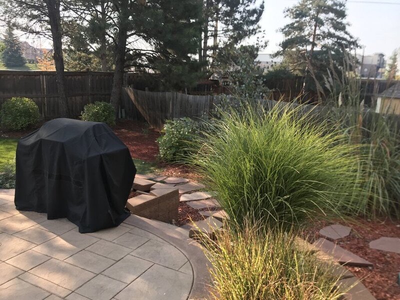 Backyard patio with a covered grill and landscaping with plants