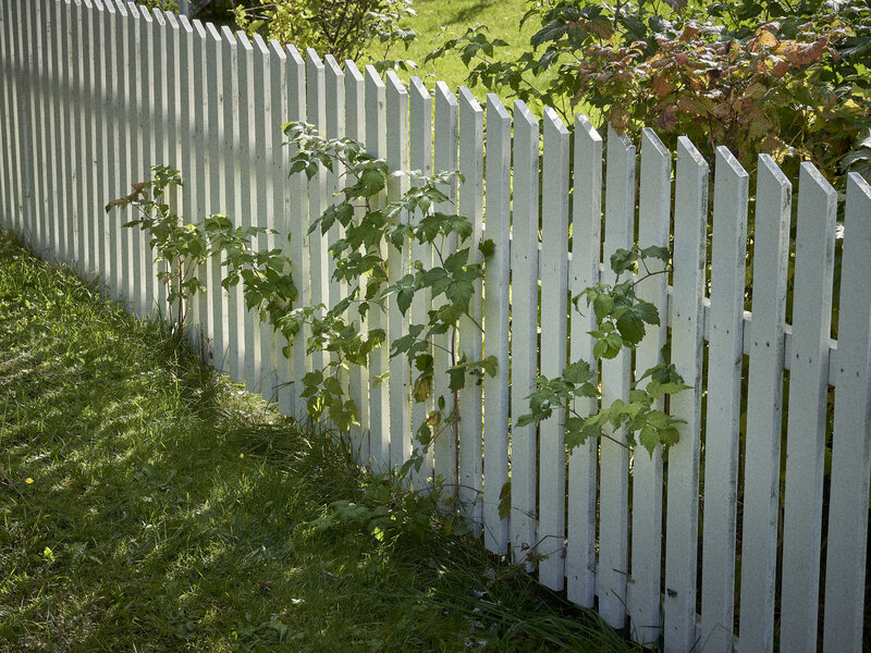 White picket fence with green leaves and branches growing through it from the other side