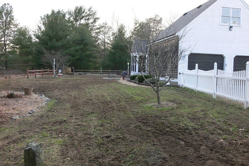 Lawn with no grass, being reseeded