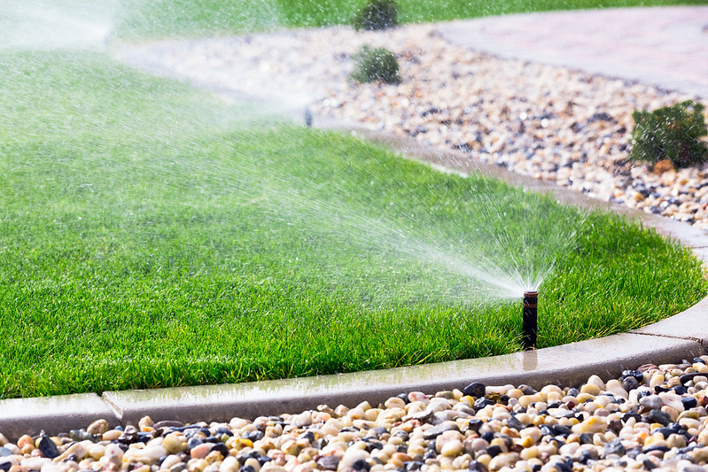 Active sprinkler system watering the lawn