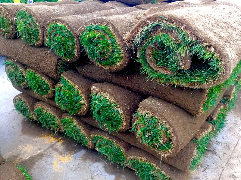 Rolls of sod stacked together