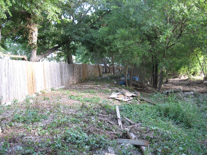 Backyard covered with wood debris and branches