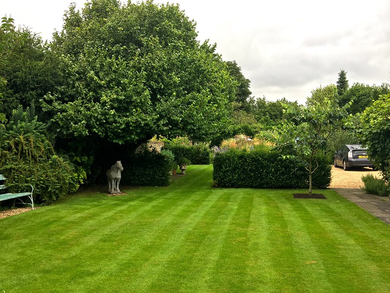 Freshly mowed lawn with alternating mow stripes