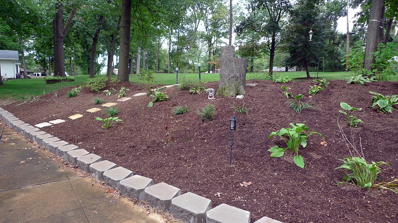 Freshly mulched garden