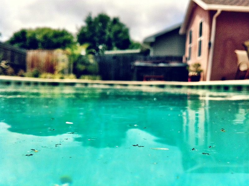 Dirty pool with debris