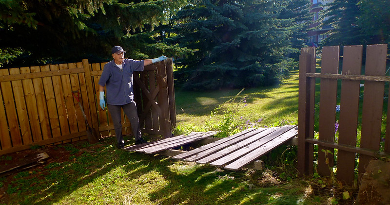 Man tearing down an old backyard fence