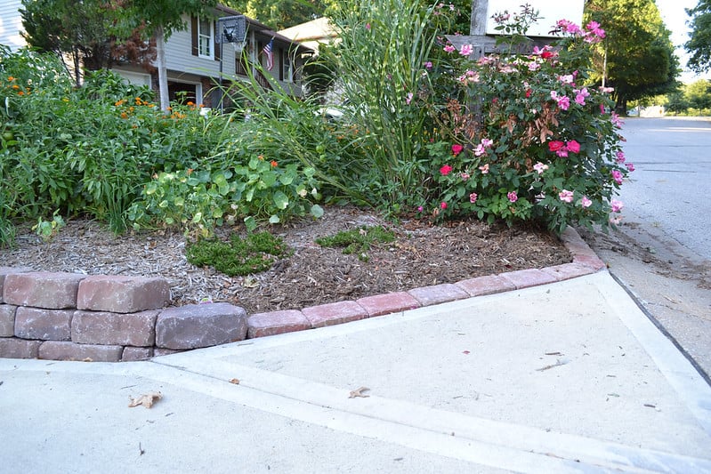 Landscaping with brick edging