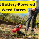 7 Best Battery-Powered Weed Eaters of 2023 [Reviews]