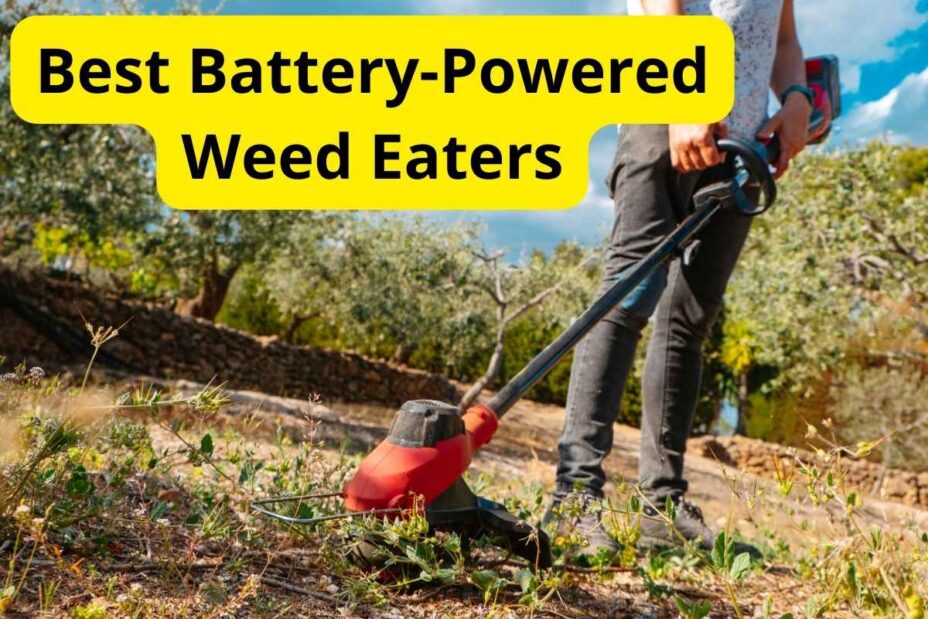 7 Best Battery-Powered Weed Eaters of 2026 [Reviews]