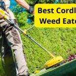 9 Best Cordless Weed Eaters of 2023 [Reviews]