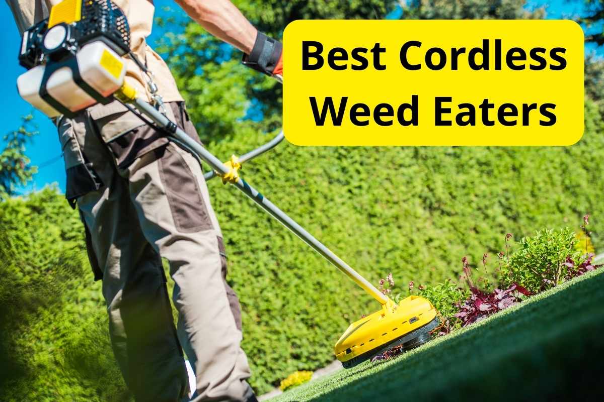 gas string trimmer with text overlay on it