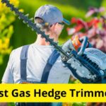 10 Best Gas Hedge Trimmers of 2024 [Reviews]
