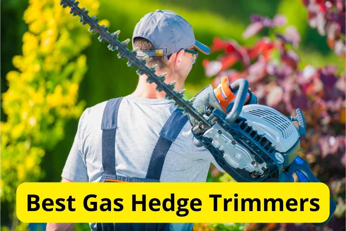 gardener with hedge trimmer with text overlay on it